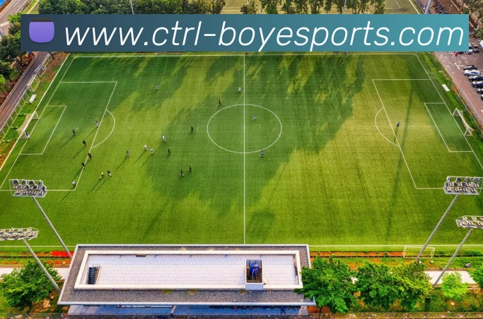 多媒体互动体验